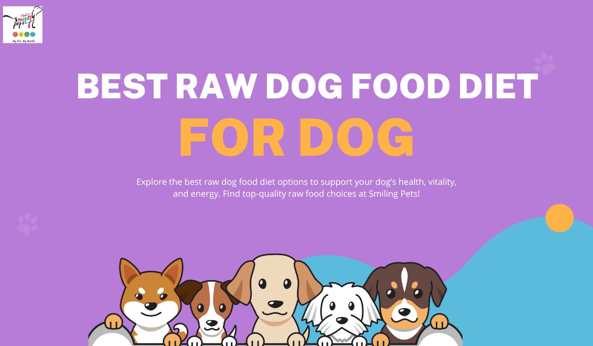 Best Raw Dog Food Diet for Dogs