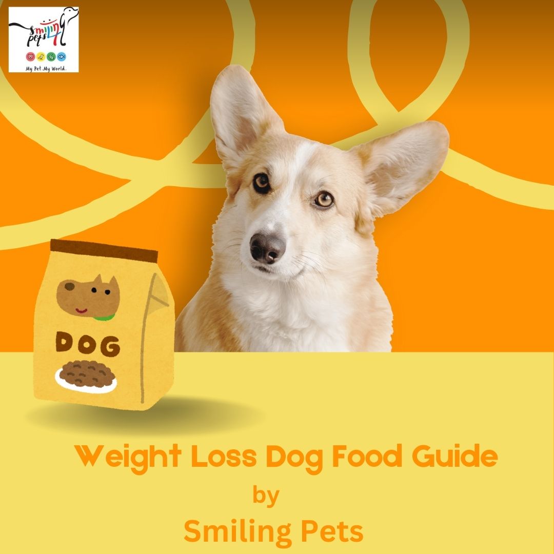 Weight Loss Dog Food