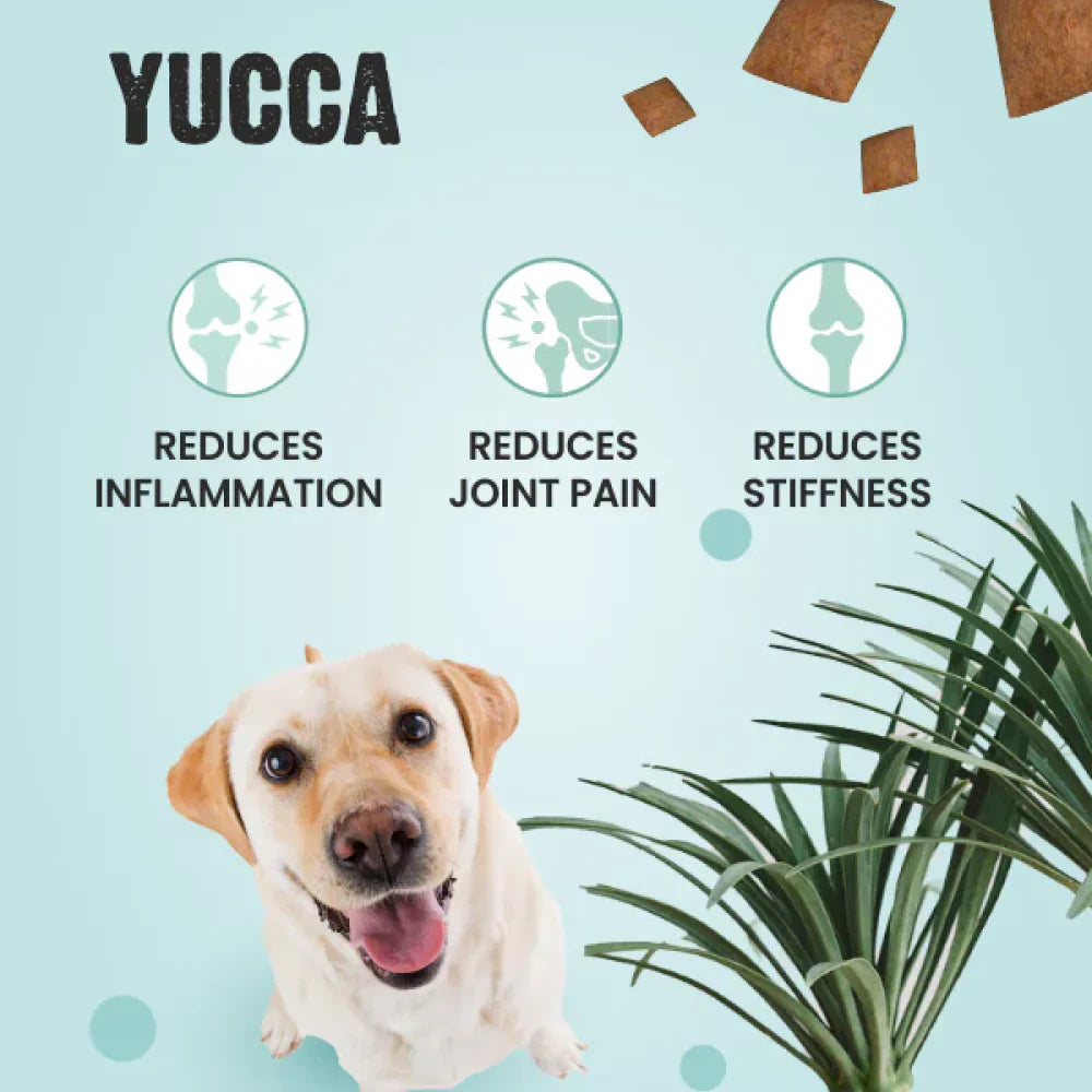 Bark Out Loud by Vivaldis Pillows for Hip & Joint Dog Treats