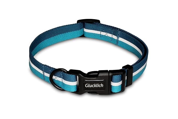 Glucklich Everyday Reflective Dog Collar (Mint Green)