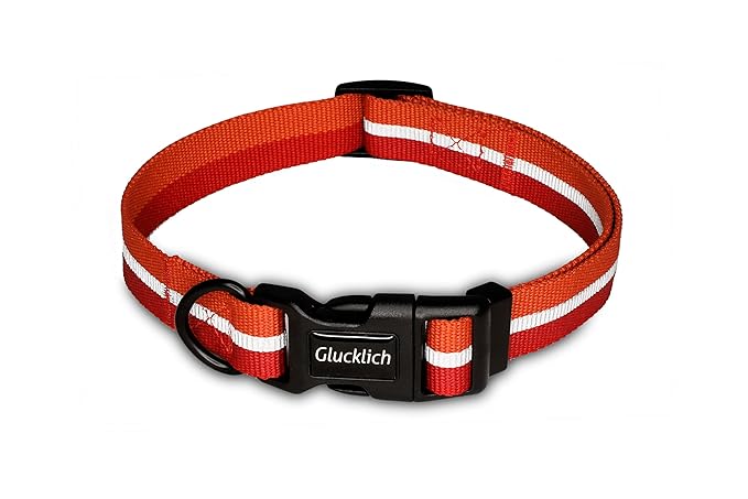 Glucklich Everyday Reflective Dog Collar (Sunset Red)